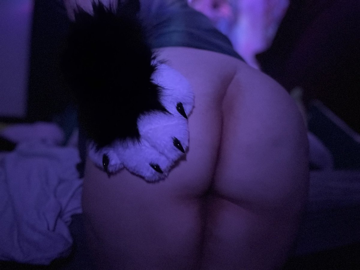 Lumi 🐾🔞 tweet media