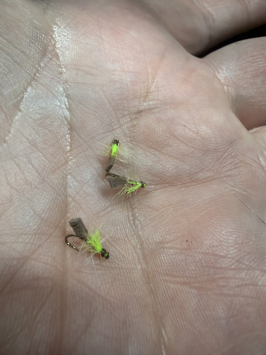 David Blackett tweet media