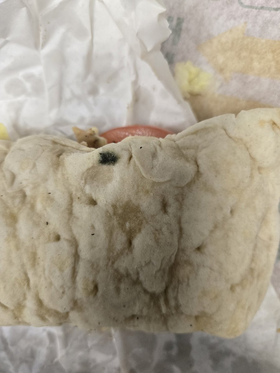 Olin 👊🏻 tweet media