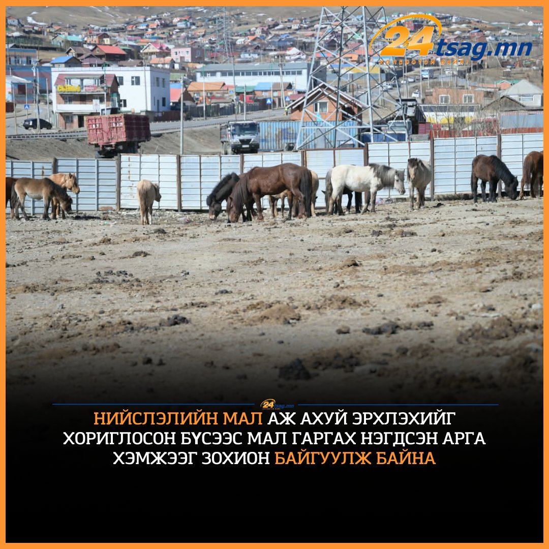 24tsag.mn tweet media