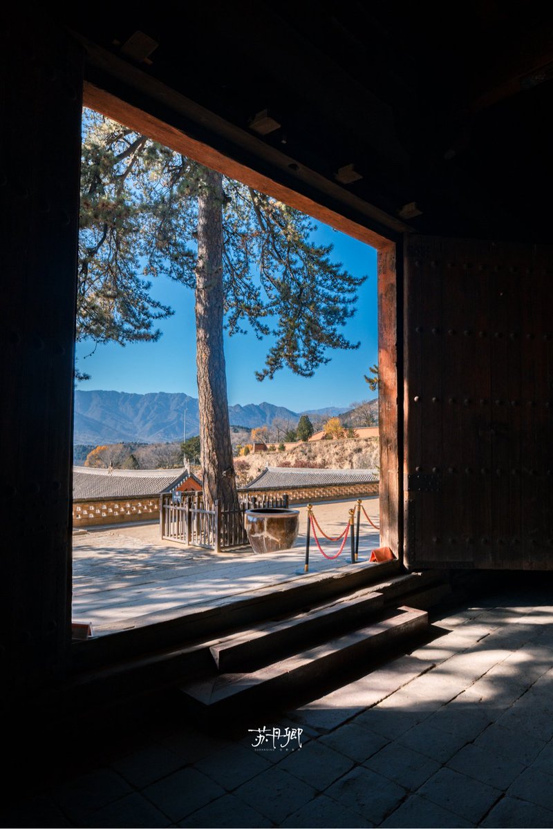 vanessa valerio tweet media