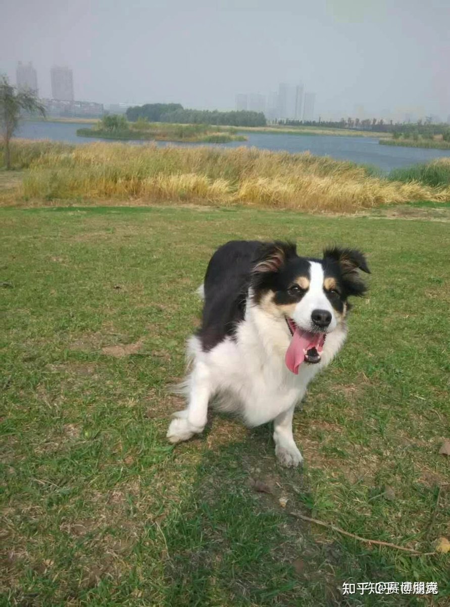 Fernando Marques tweet media