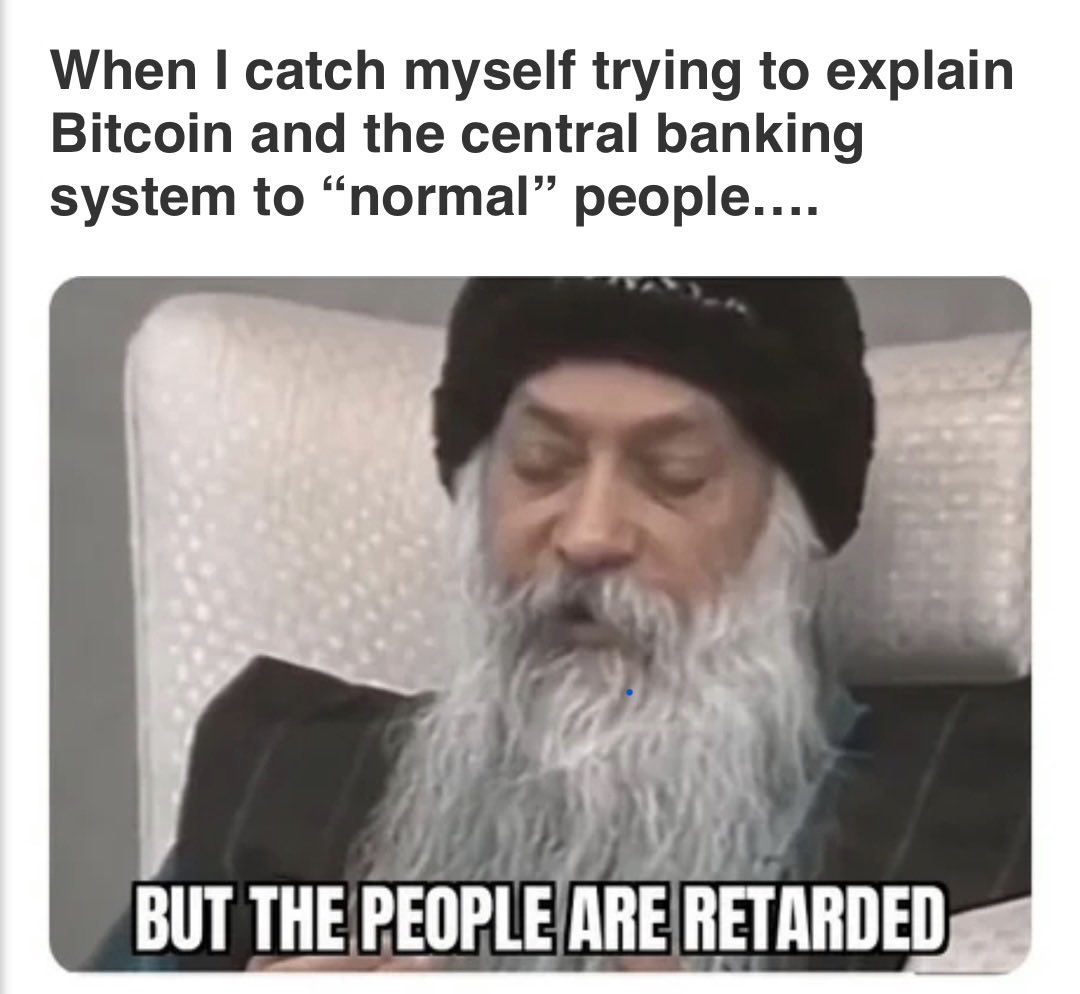 ExponentialApe tweet media