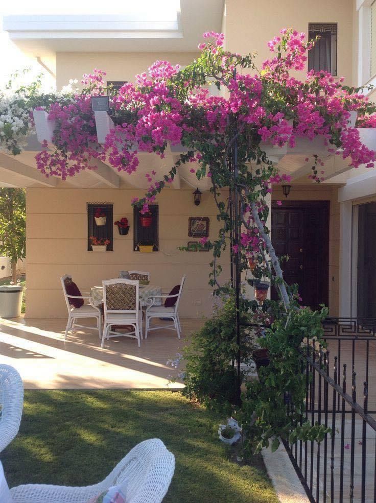 Warda Hun 😐 tweet media