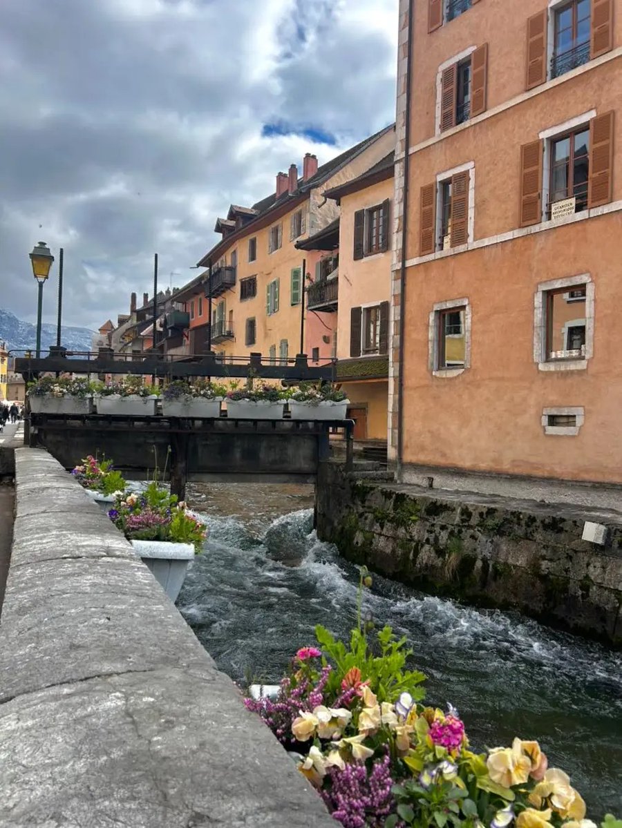 🇨🇵 LUCKAS (Lulu) 🇨🇵 tweet media