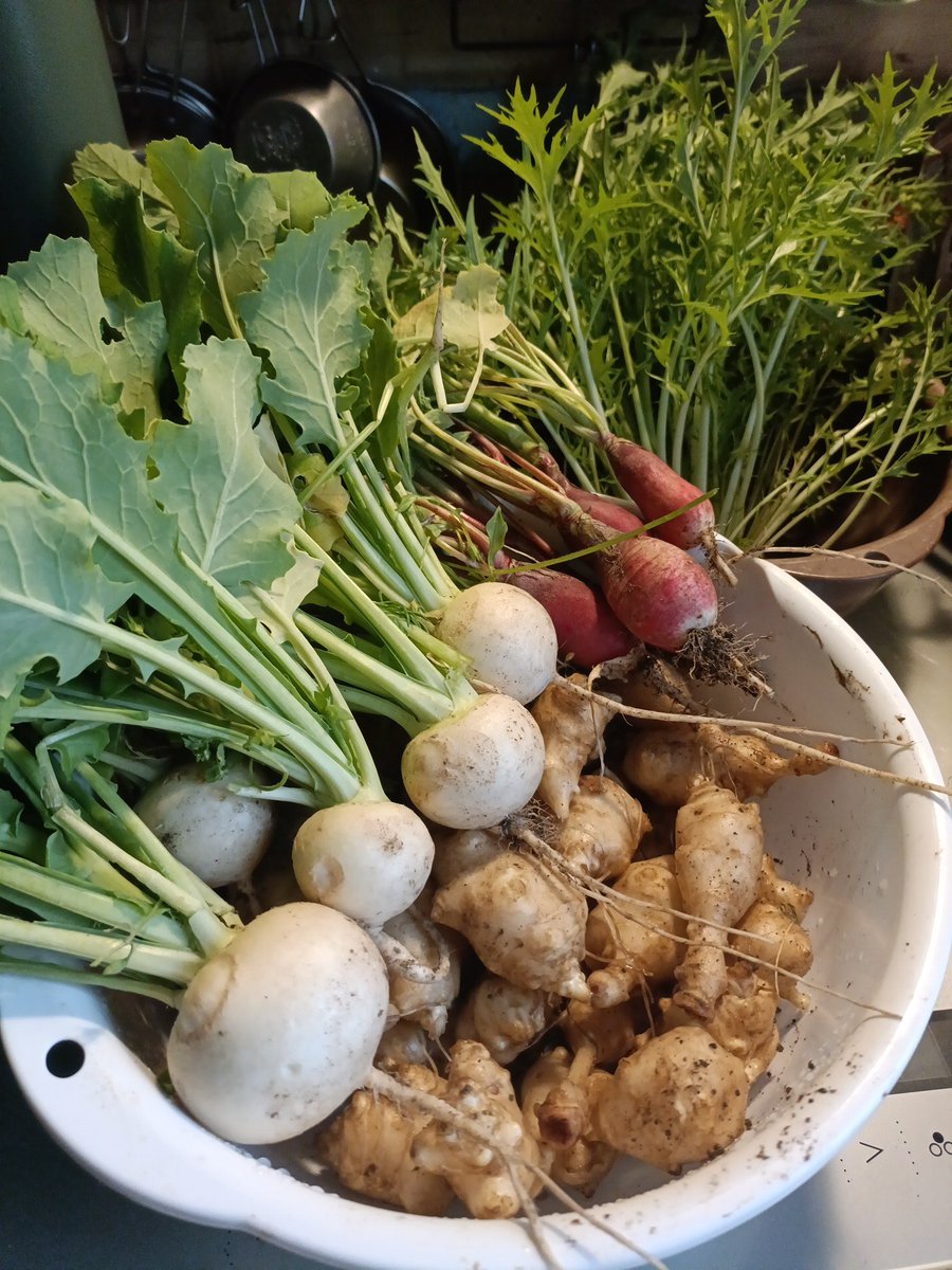 アカリンゴ🍎Cooking tweet media