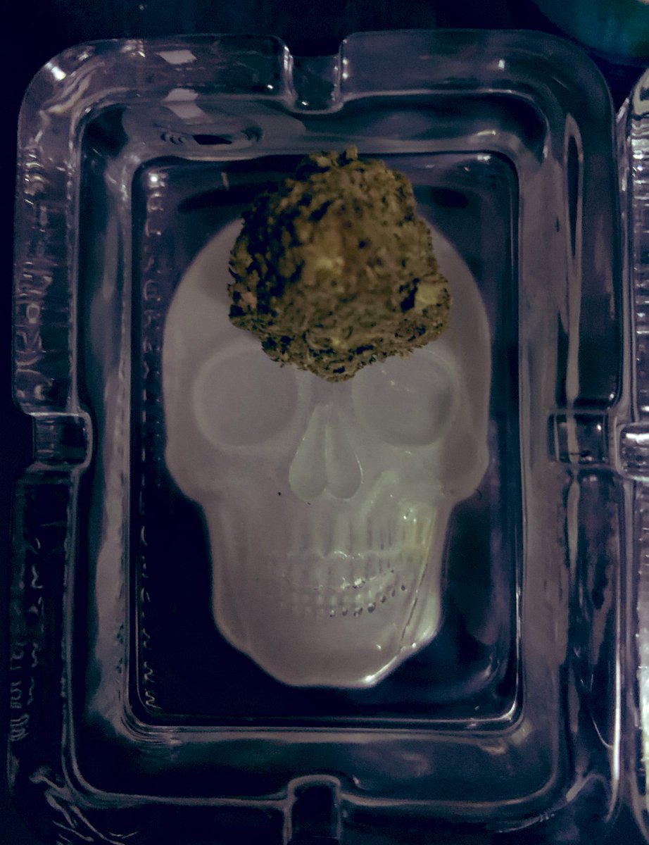 Primos Activos 4Vnte tweet media