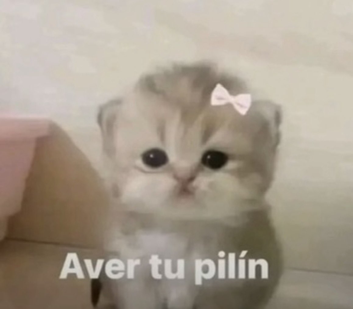 keyyxell's tweet photo. @wlsonlober Ay bien padre https://t.co/rBJEHgvyBP