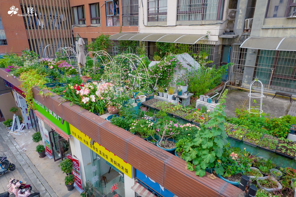 Shark Office tweet media