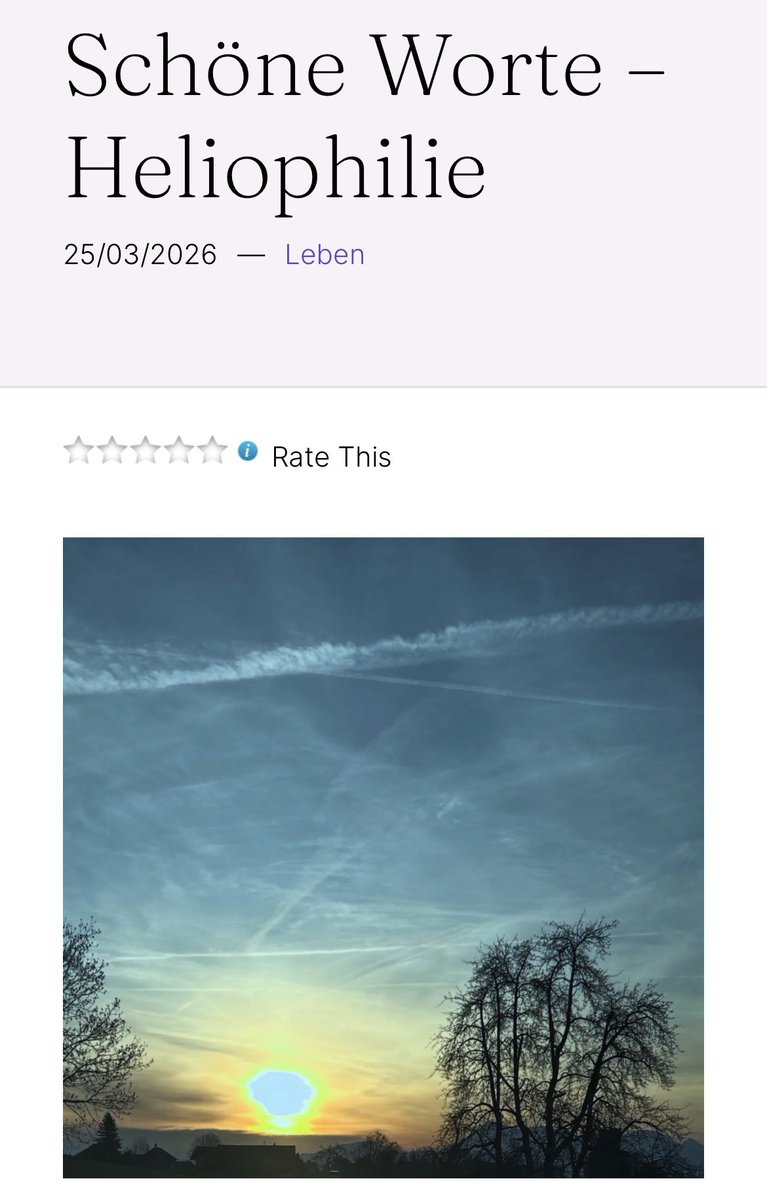 𝙼𝚒𝚜𝚜 𝙼𝚘𝚘𝚗 🕊 tweet media