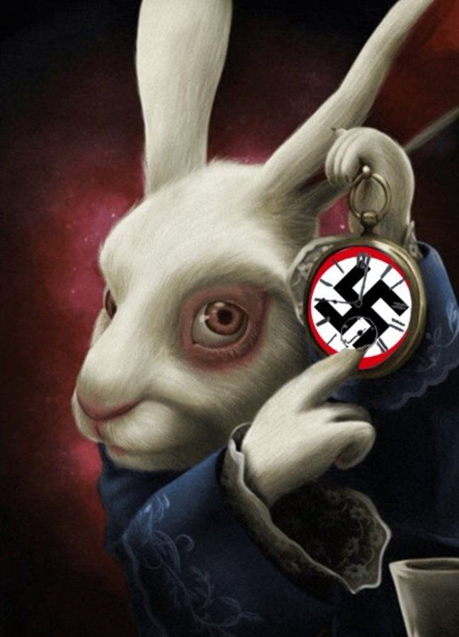 THE MAHOOPAY PLAY™ tweet media