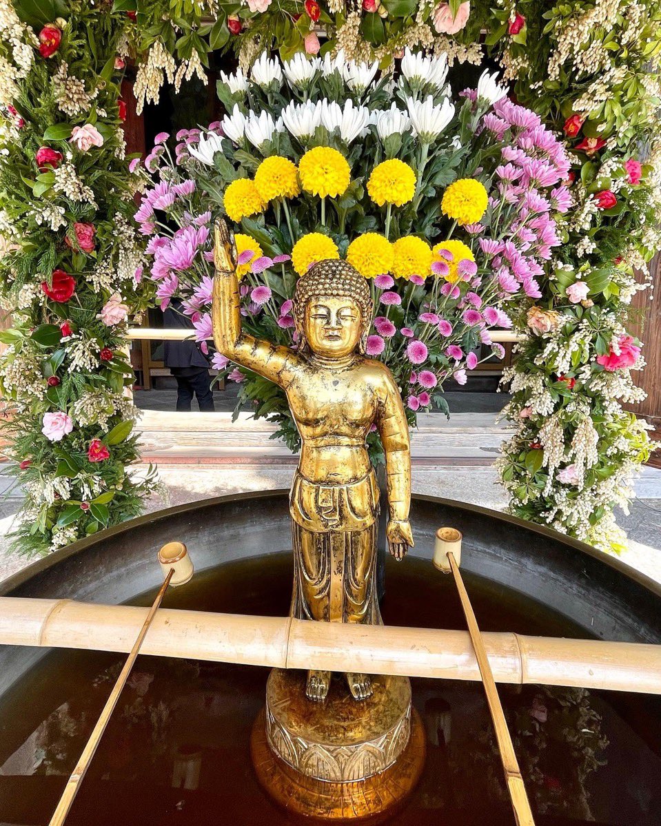 todaiji's tweet photo. The Buddhist ritual “Busshoe” will be held on Apr. 8th to celebrate the Lord Buddha’s birthday. A “Hanami-dō” with colorful flowers will be filled with sweet tea. Visitors can ladle sweet tea with a dipper and pour it over the statue. 
#todaiji
Details➡️ https://t.co/bjgf0oBp6I https://t.co/kOQlcn2TnK