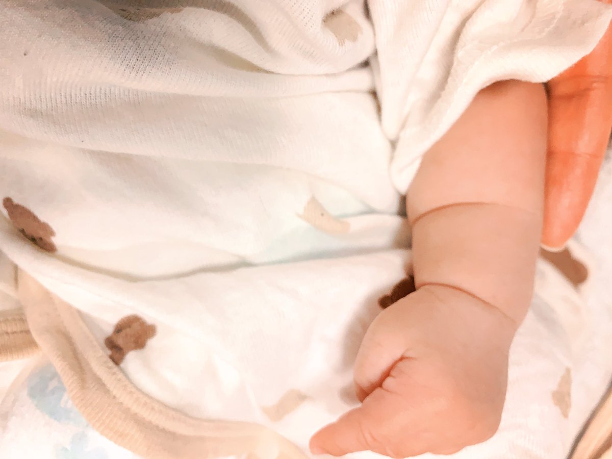 Ivy 🍄《 ARP 》 tweet media