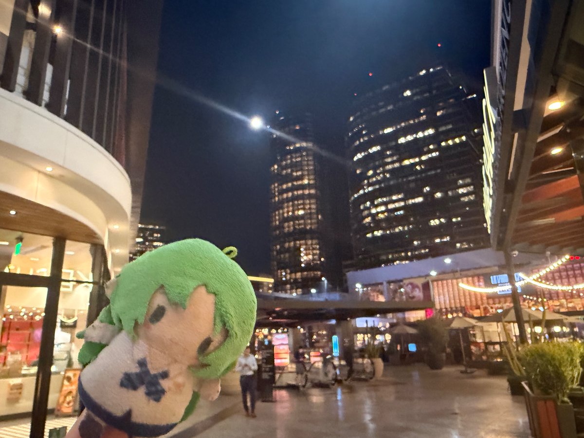 somewhat daily shion plush / 毎日詩ぃぬいぐるみ (@dailyshiiplush) on Twitter photo 