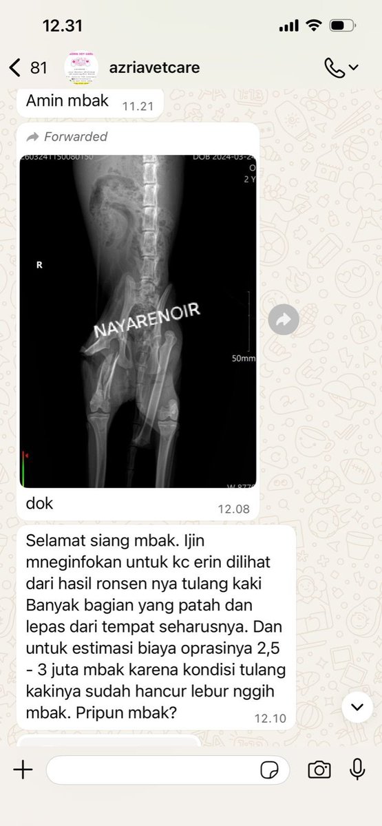 Naya ❀ ホムラ tweet media