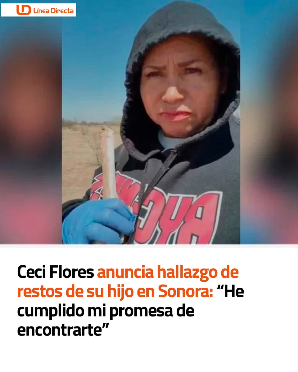 Línea Directa Portal tweet media