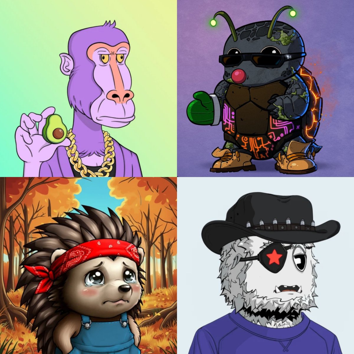 Coacħ_Hangry tweet media