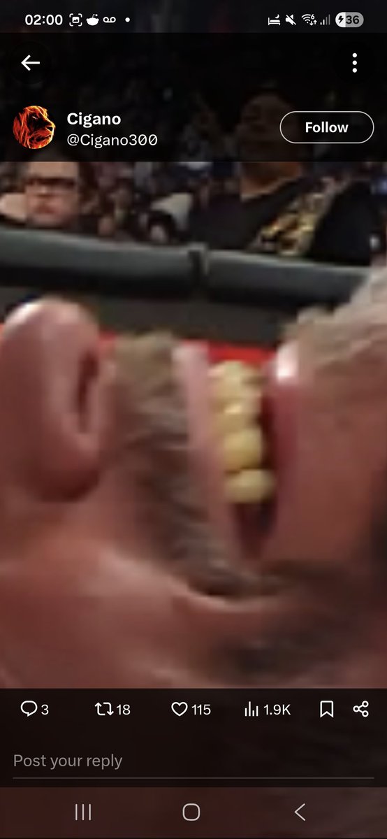 Chris sidiridis tweet media