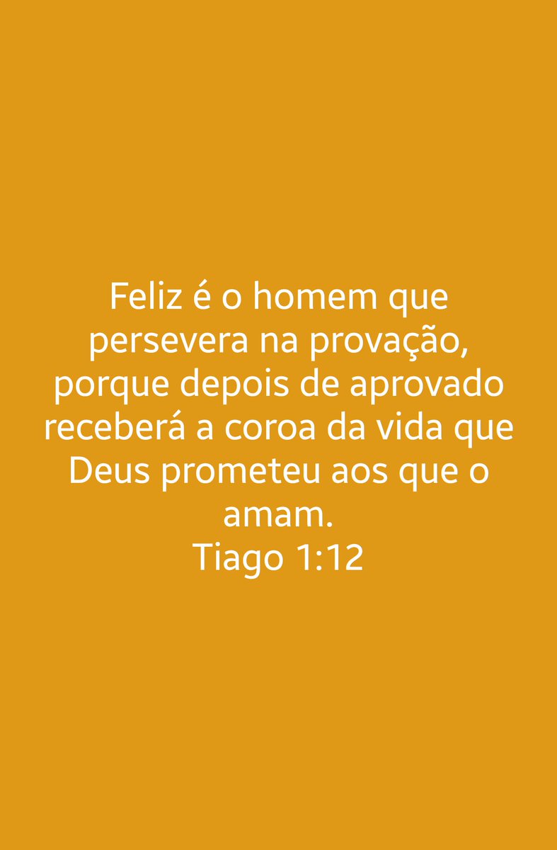 Rafa Melo tweet media