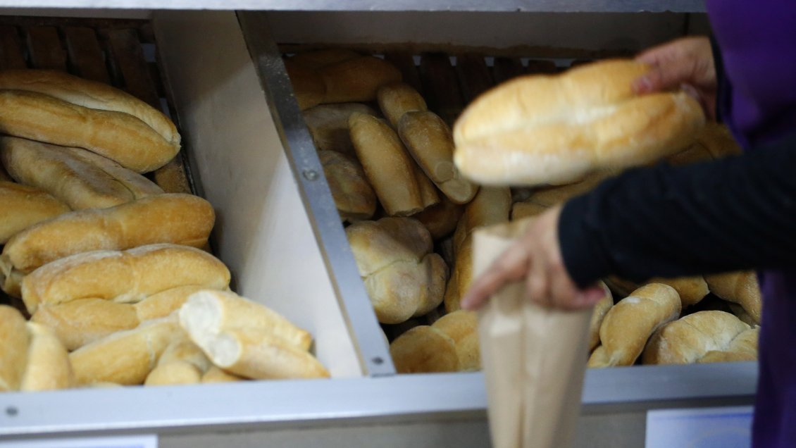 Cooperativa tweet media