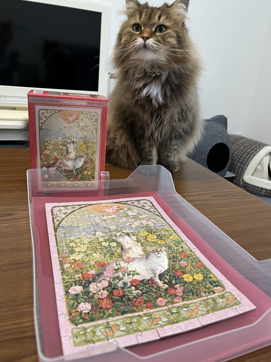 imachan969696's tweet photo. ジグソーパズルのアップルワン様より
(@appleone_puzzle )
猫の日キャンペーンでジグソーパズルをいただきましたぁ🧩🐱✨

キラキラしてめちゃくちゃ可愛くてちゃんとフレーム入れて飾りたいと思います🥰
ビビ姫は製作中めちゃくちゃ邪魔しにきてました😂
#APPLEONE https://t.co/I5Wf1V59Df