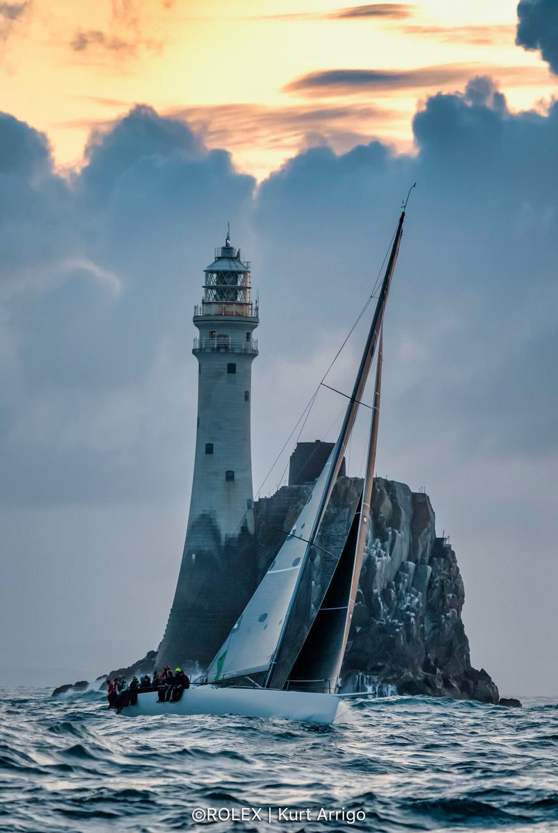 Delight Moments tweet media