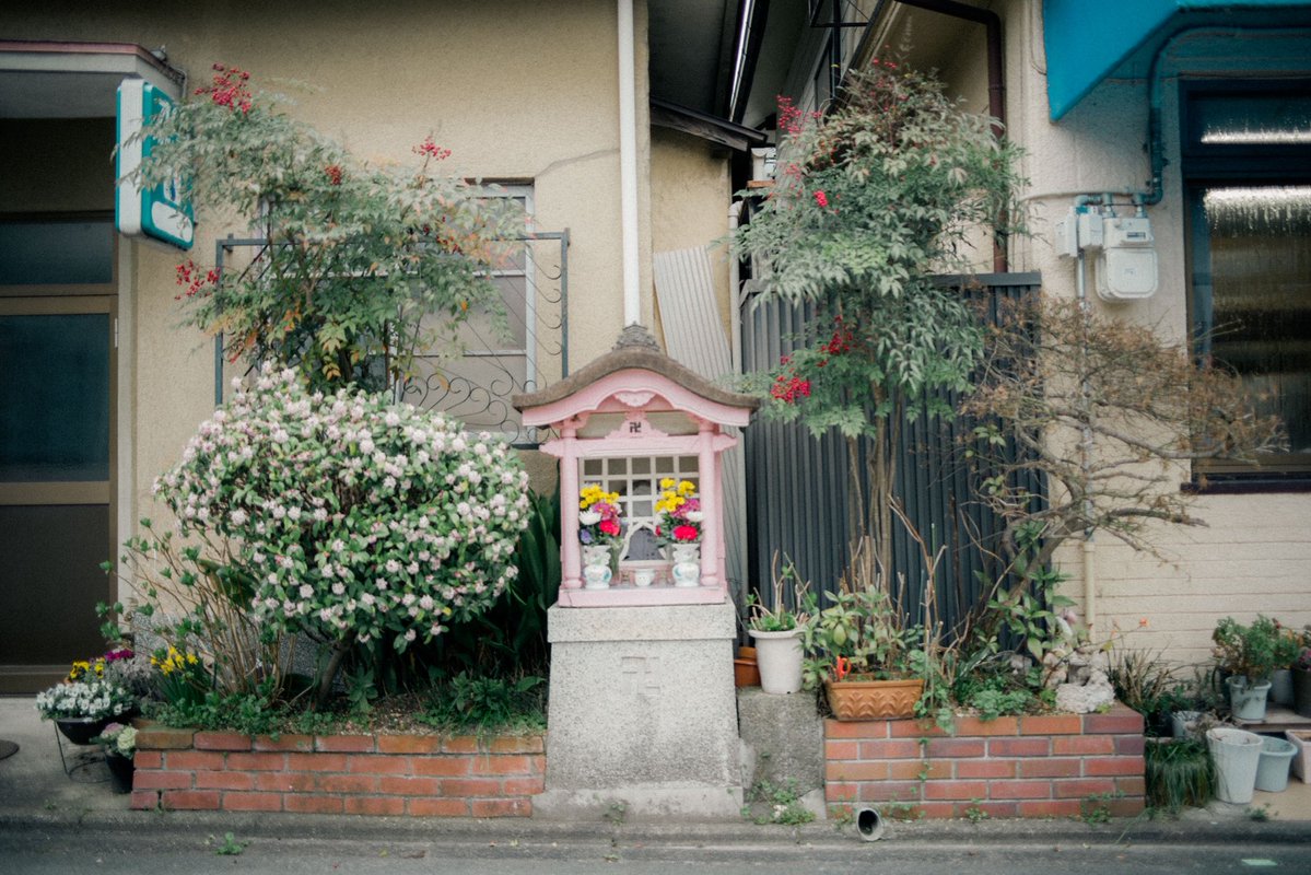 旅する小僧 tweet media