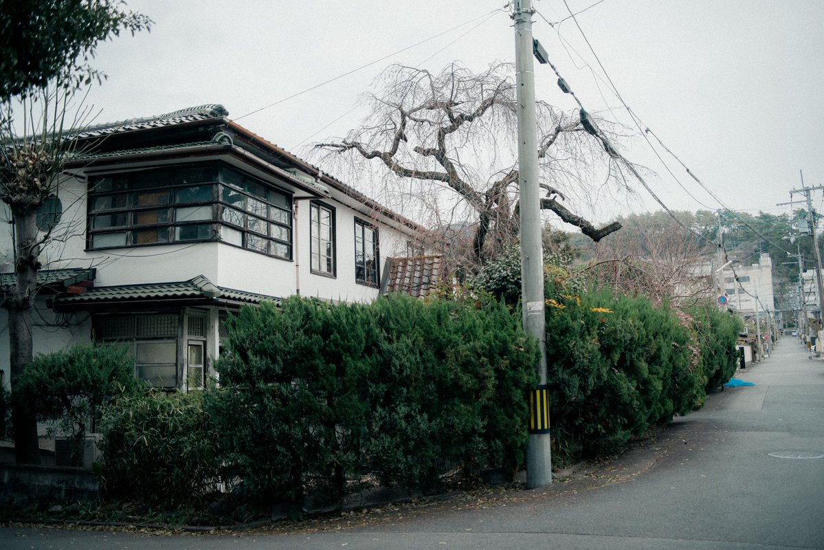 旅する小僧 tweet media