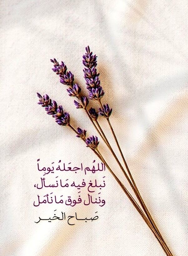 غصون tweet media