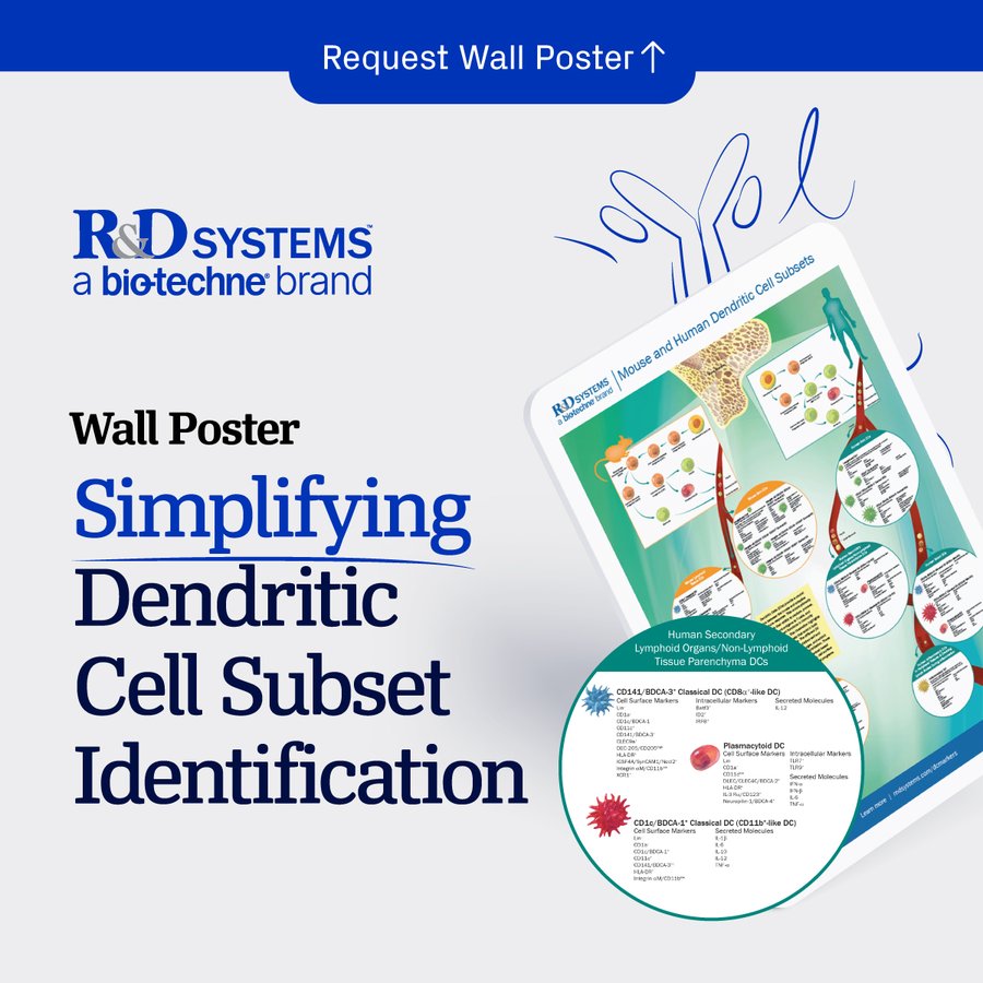 Descubre los marcadores clave utilizados para identificar los diferentes subtipos de #célulasdendríticas en el último póster de <a href="/RnDSystems/">R&D Systems</a> 👇rndsystems.com/resources/lite…