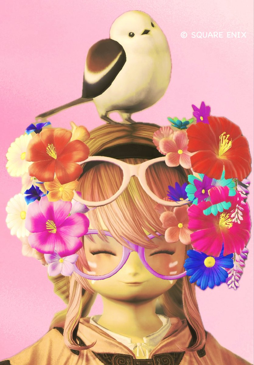 あのねCat🐈‍⬛FF14 tweet media