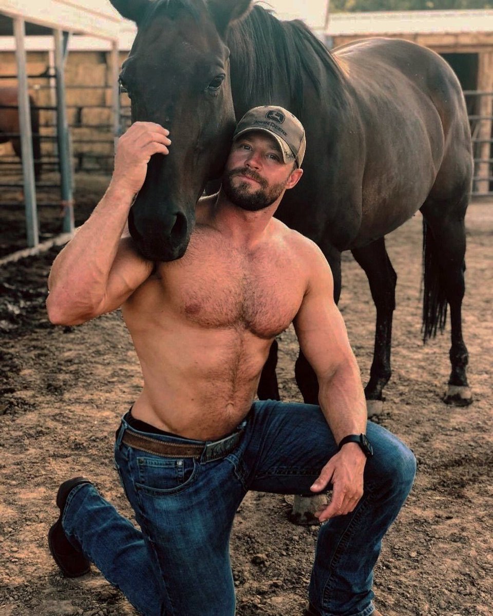 ToolcollectorX tweet media