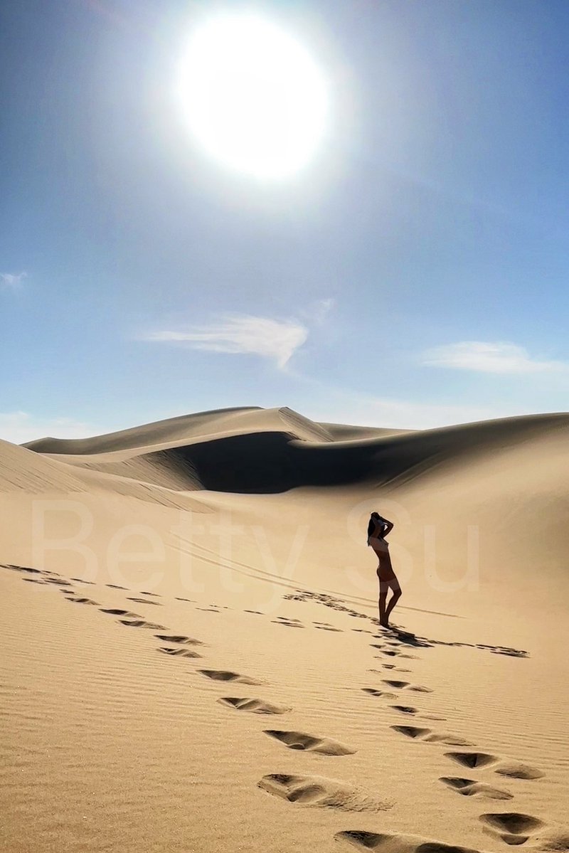 我的朋友Betty Su🦊 tweet media