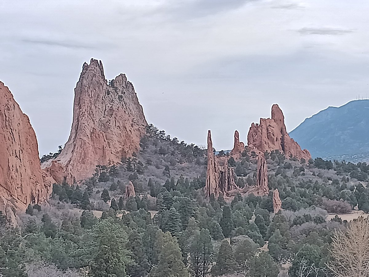 Grandpa Chad Steel tweet media