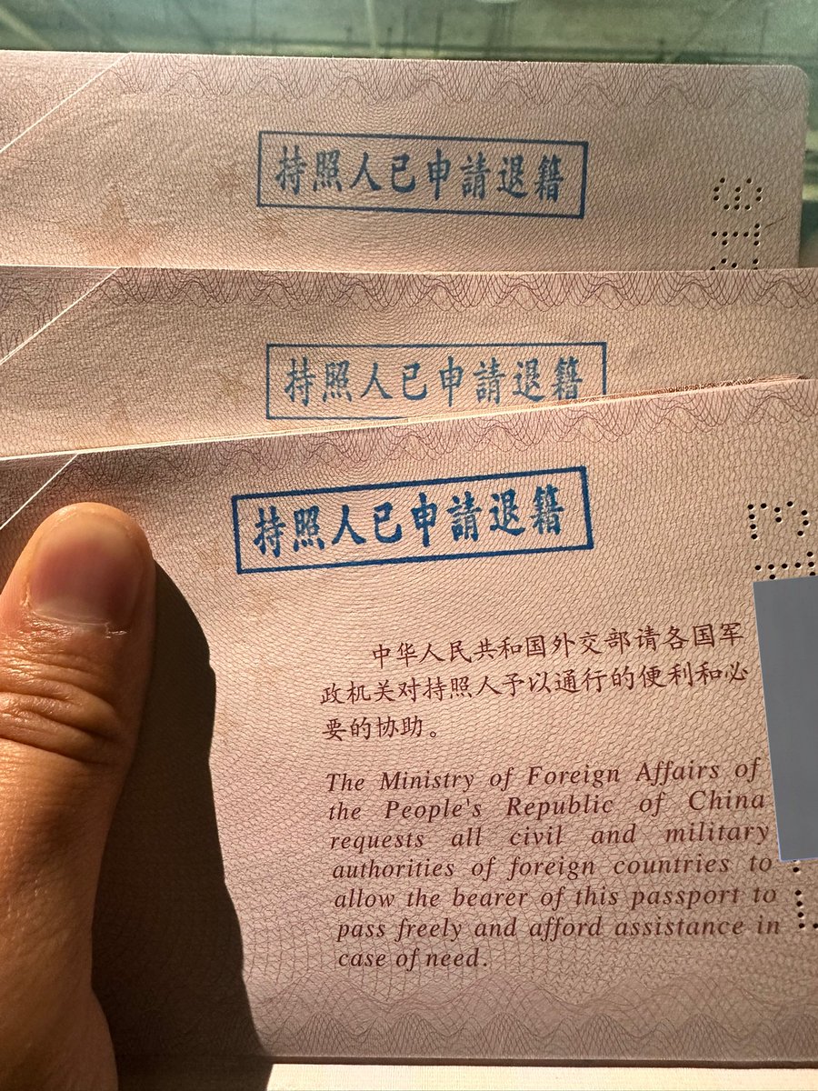 のらいぬ tweet media