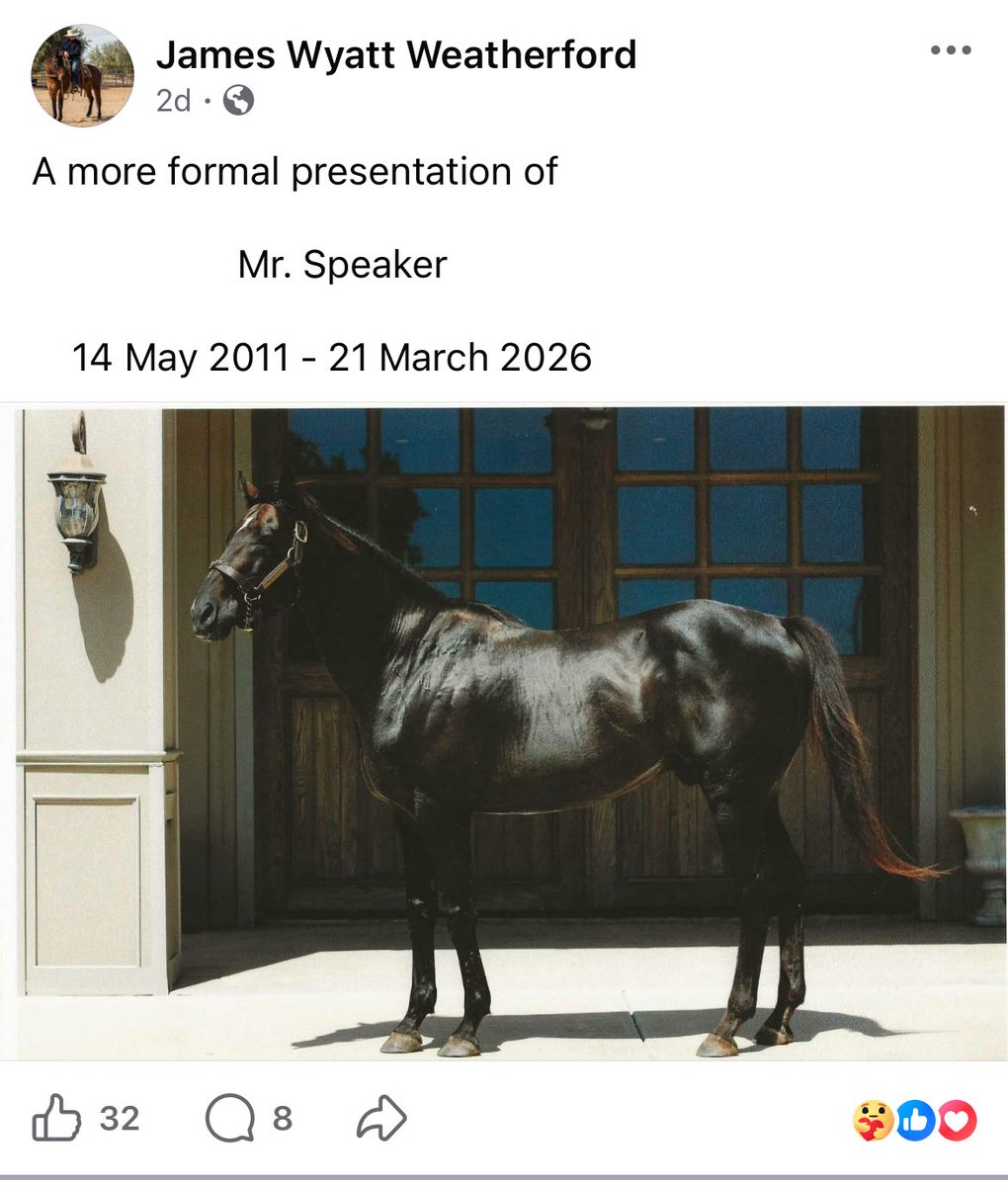 Dachelle tweet media