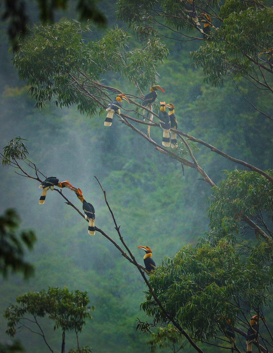 Supriya Sahu IAS tweet media