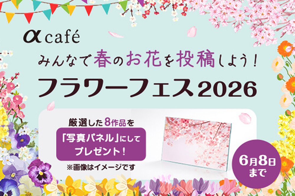 君国泰将 tweet media