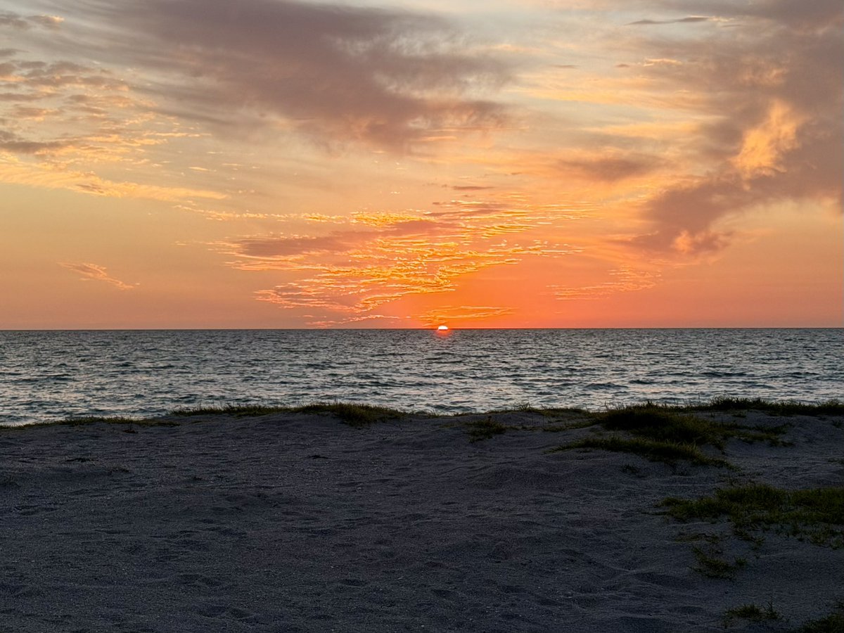 Jennifer Wagner Chartier tweet media