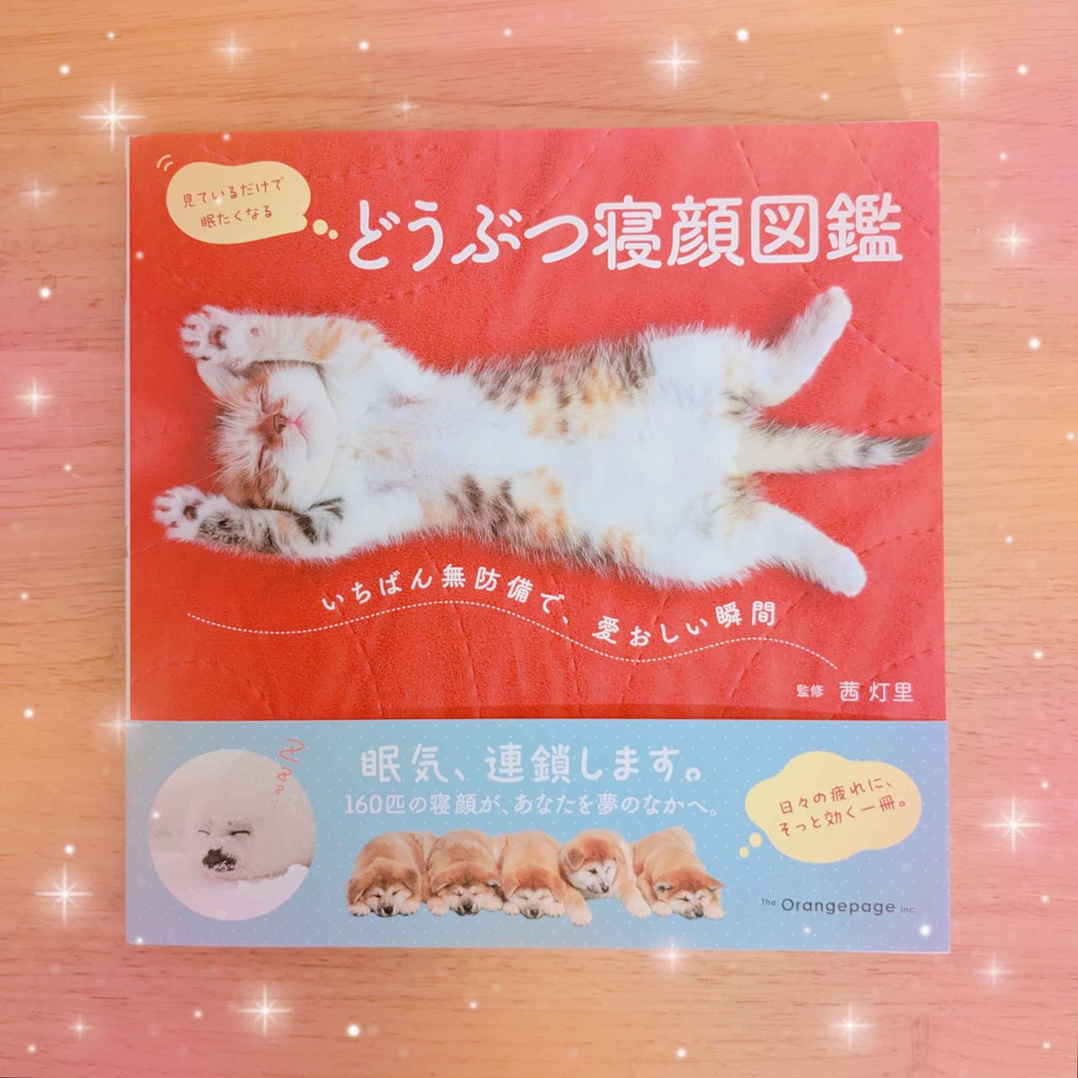 北白川かかぽ🐤🥝内閣府主催 第7回宇宙開発利用大賞PRキャラクター tweet media