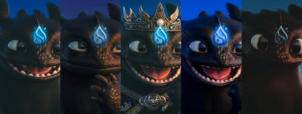 Toothless 🐾 tweet media