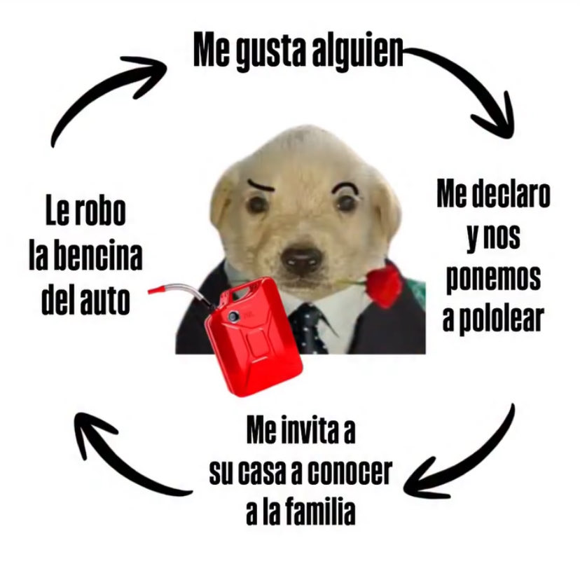 sinbrillo tweet media