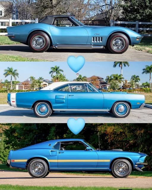 Connie 🇺🇸 tweet media