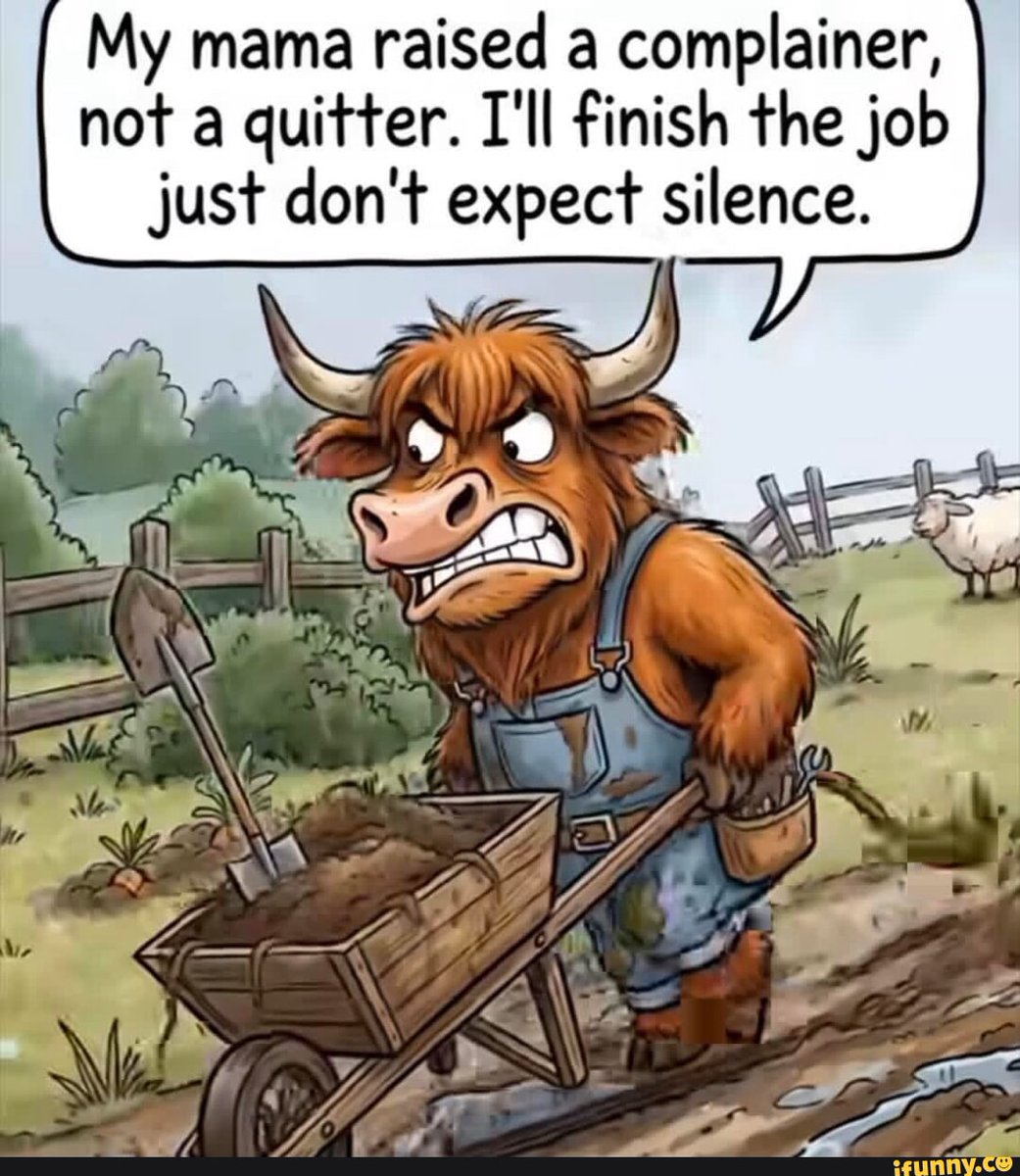 Baby Girl 🌹🕊🌹🌹🕊🌹 tweet media