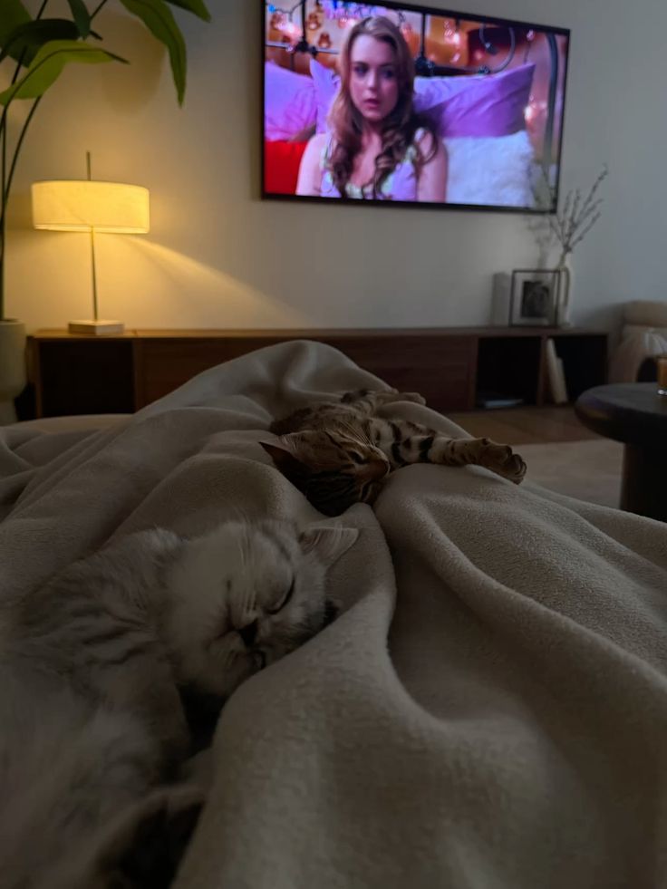 𝓔𝓵𝓵𝓲𝓸𝓽 𝓙. 𝓟𝓪𝓻𝓴 tweet media