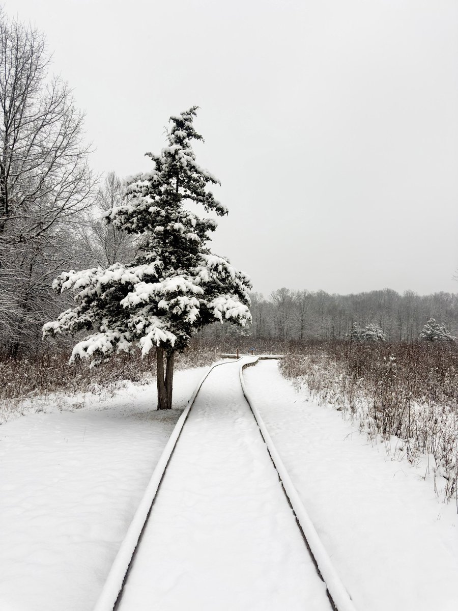 The Hoarse Whisperer tweet media