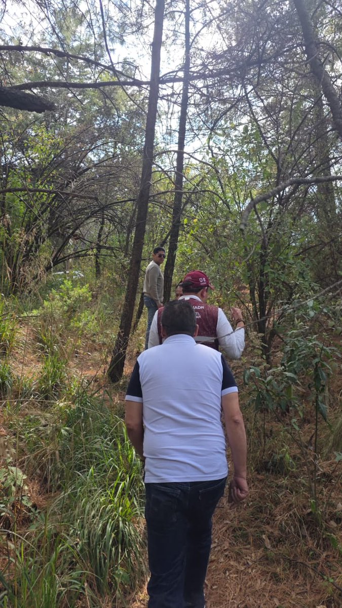 Adán Peña tweet media