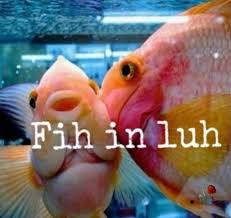 Emily 🪽 tweet media