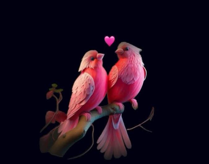 إرم أولاد ثاني tweet media