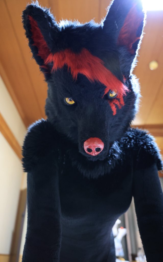 雑狐(じゃこ) tweet media